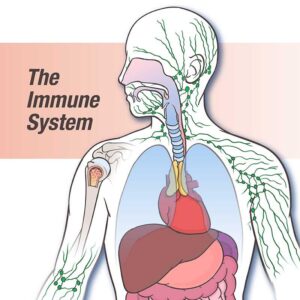 https://healthuseful.com/what-is-immunity/