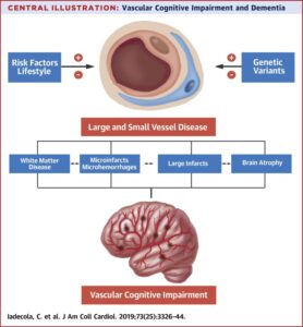 Dementia cognition mild cognitive impairment