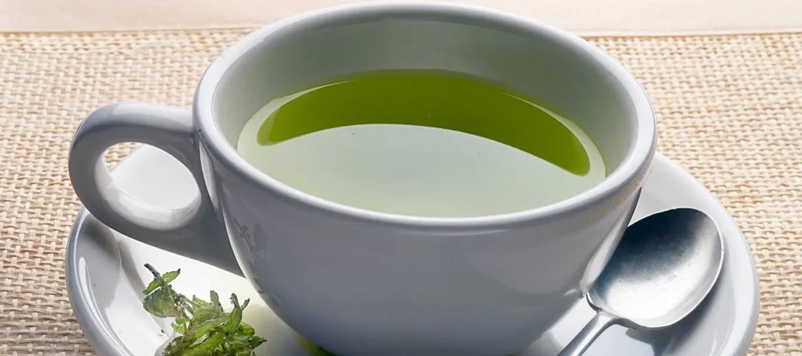 "Green Tea for Weight Loss