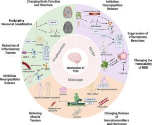 Chinese Herbal Remedies for Headaches