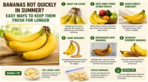 how to keep bananas fresh longer