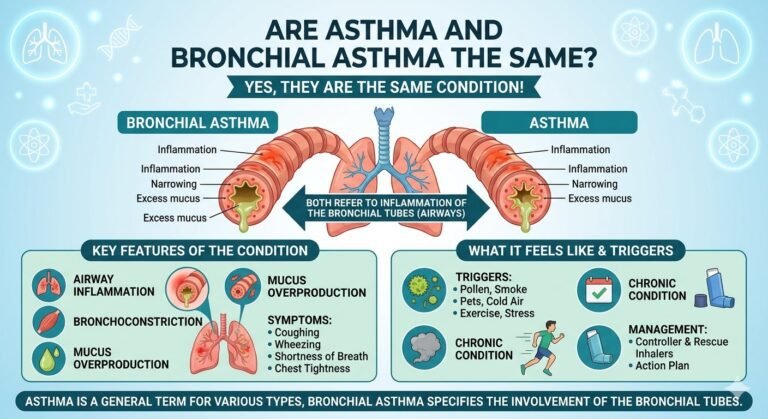 Difference Between Asthma and Bronchial Asthma: Complete 2026 Guide